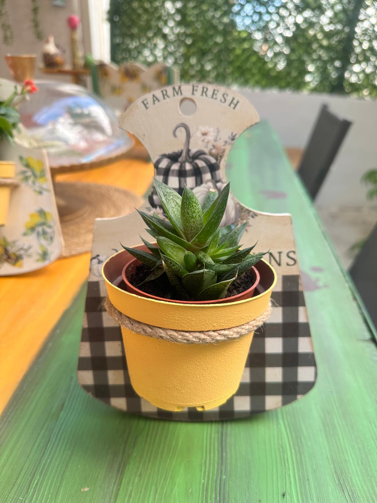 Rustik Pumpkin Ahşap Duvar Saksısı
