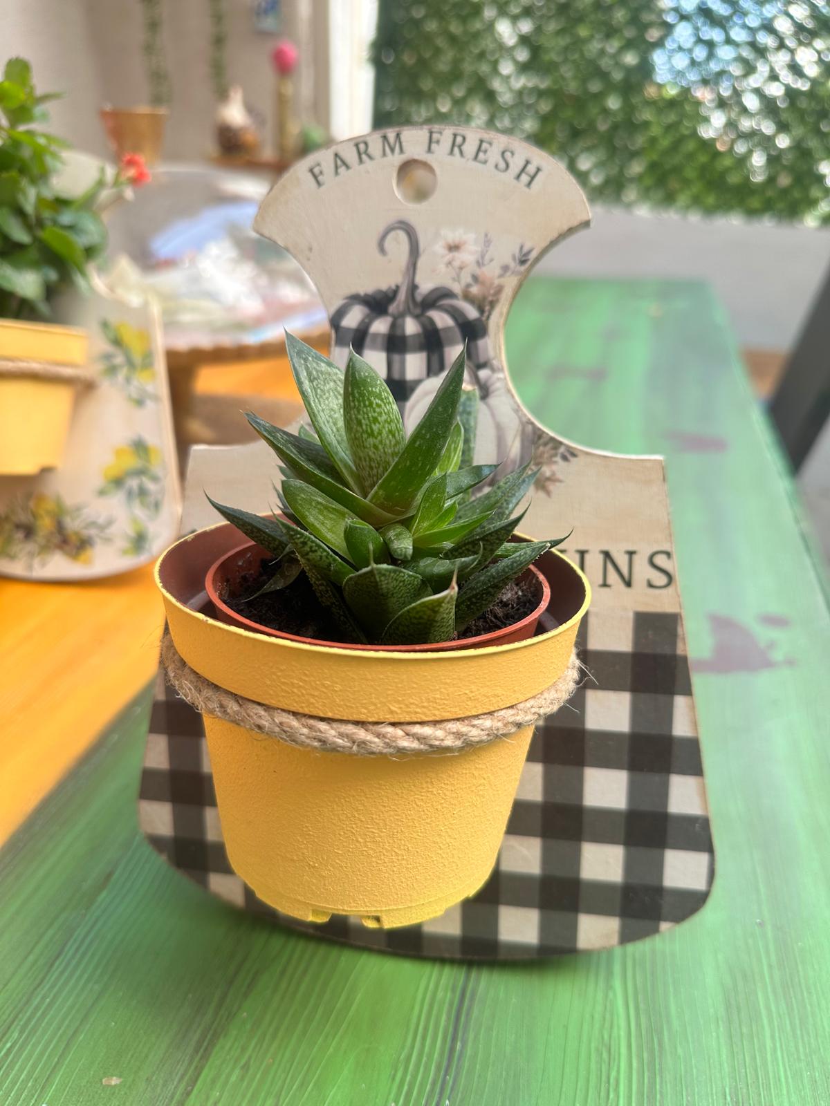 Rustik Pumpkin Ahşap Duvar Saksısı